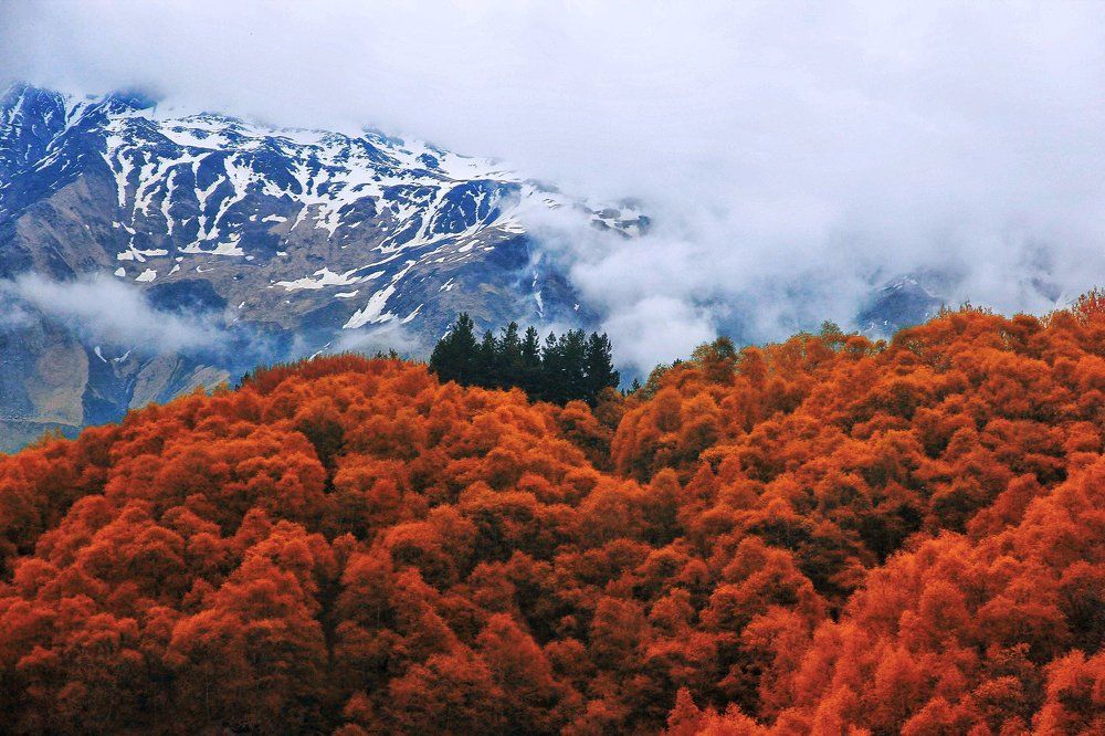 Неизвестность