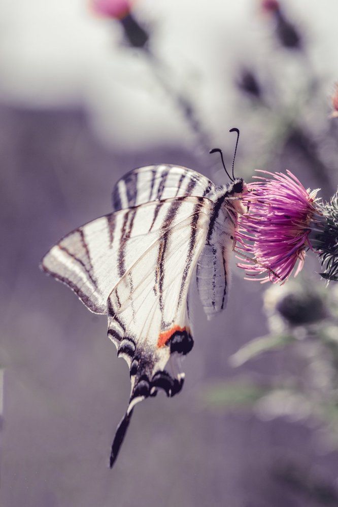 Photograph by Сергей Масленников