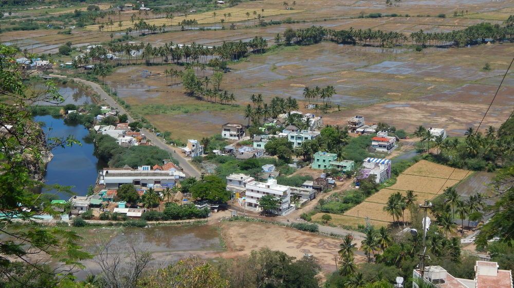 palani from the top
