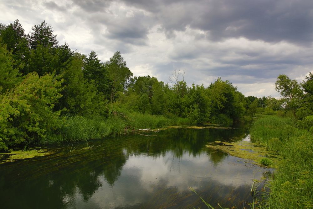 Этюд с рекой