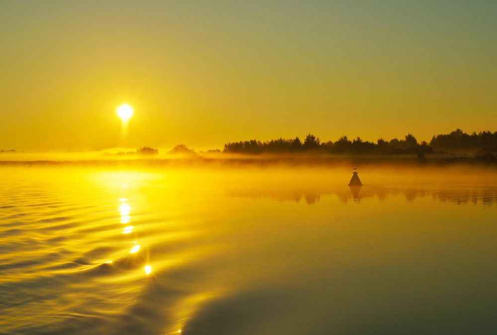 Золото Свири