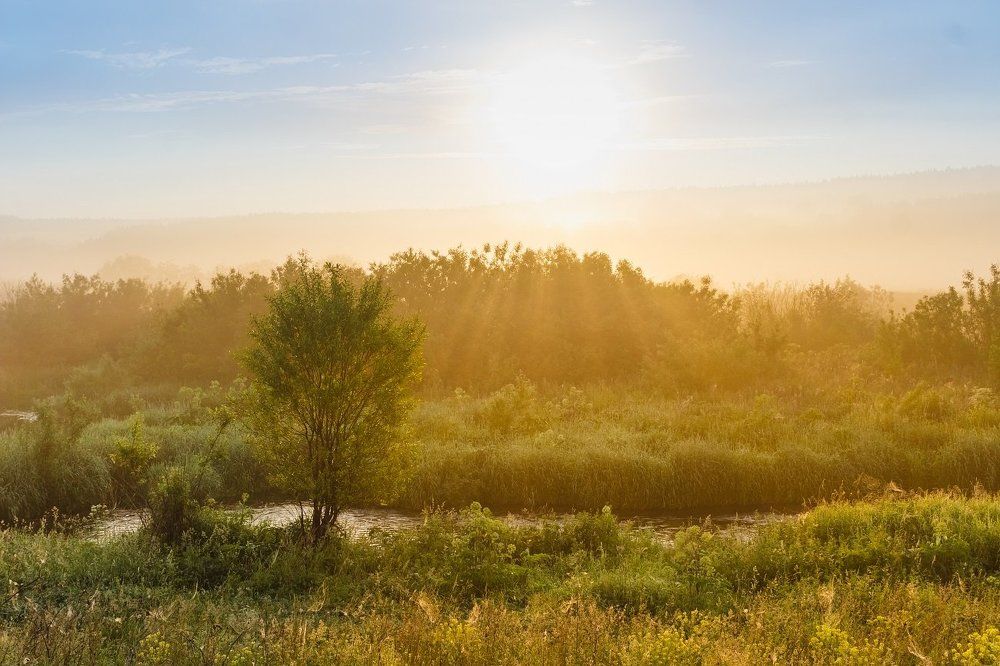 Лучи рассвета