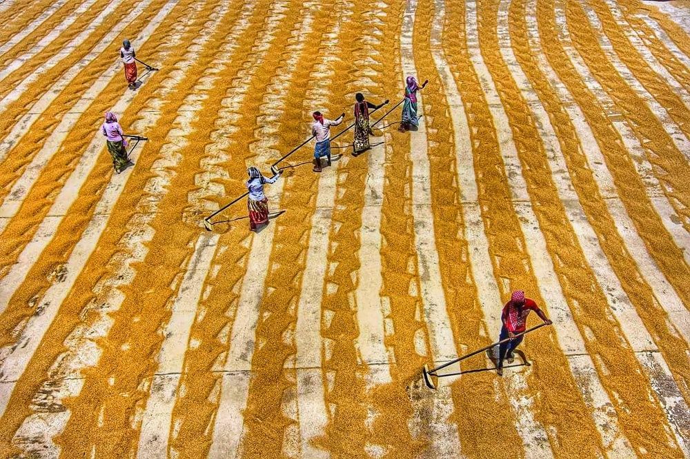 Life in pattern