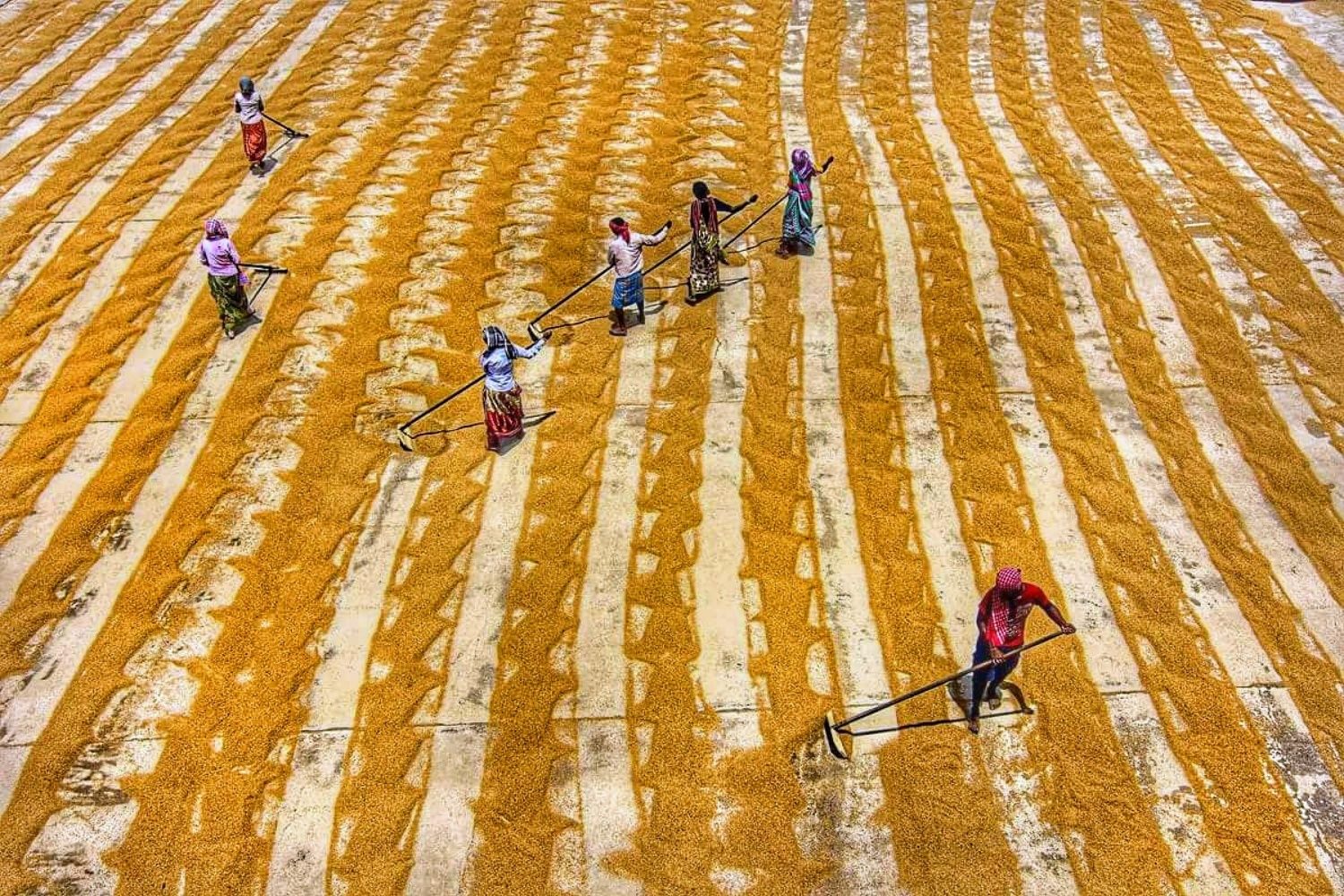 Life in pattern