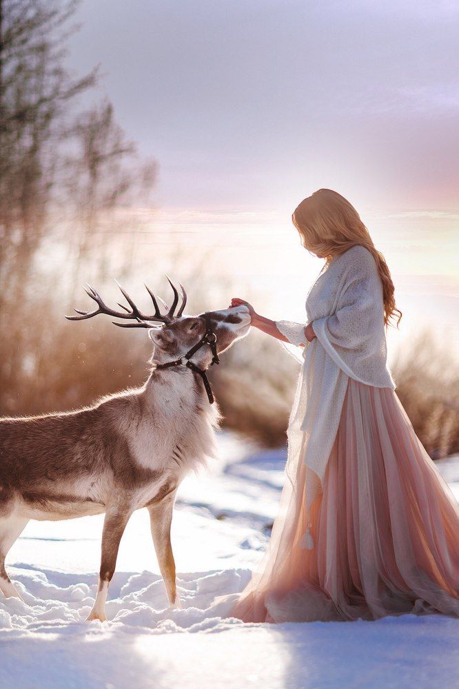 Зимнее утро в лесу