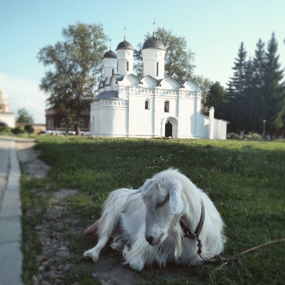 Благодать