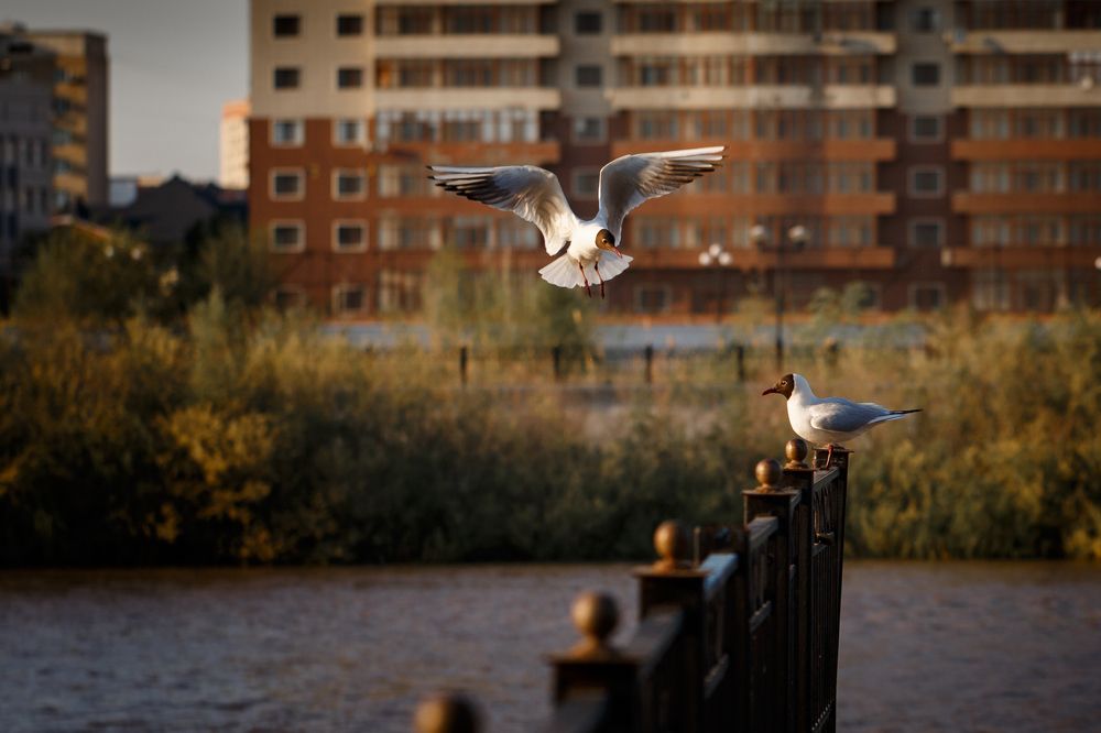 Не подвинешься ?