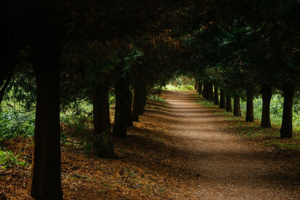 Кисловодск