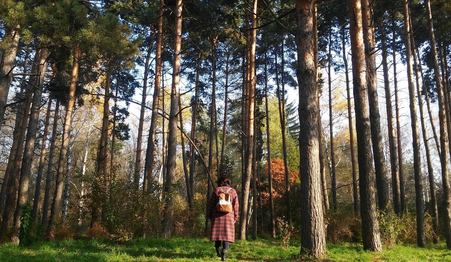 Photo #2469173