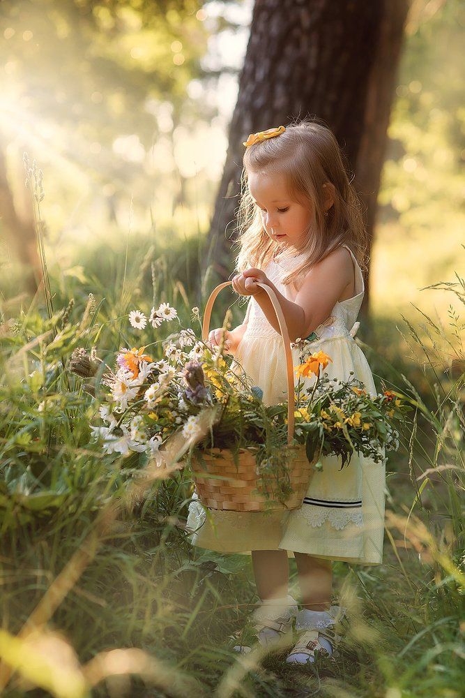 летний вечер