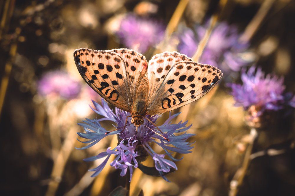 Photograph by Евгений