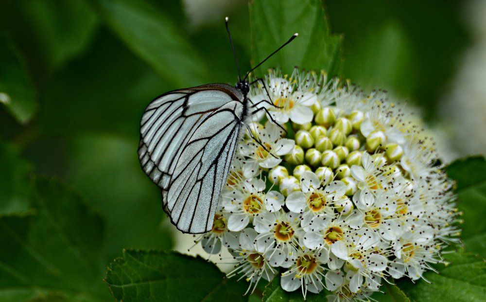 Photograph by Максим