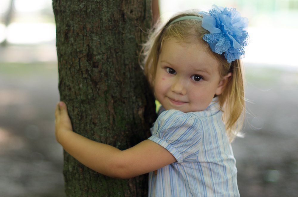 Я люблю это дерево