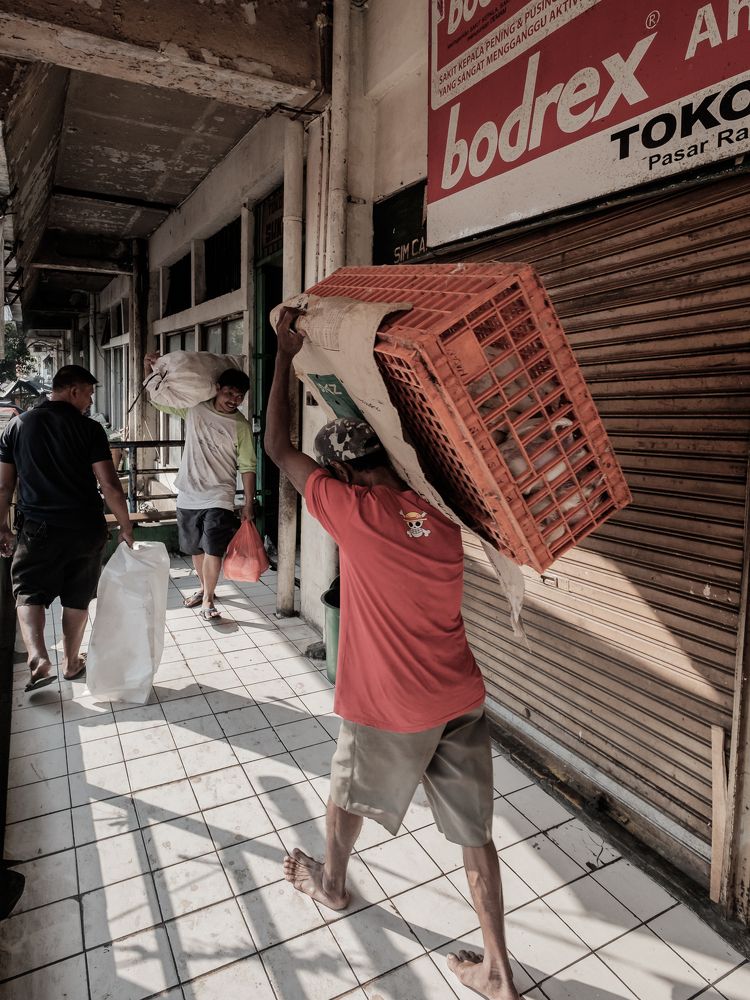 Morning at The Market