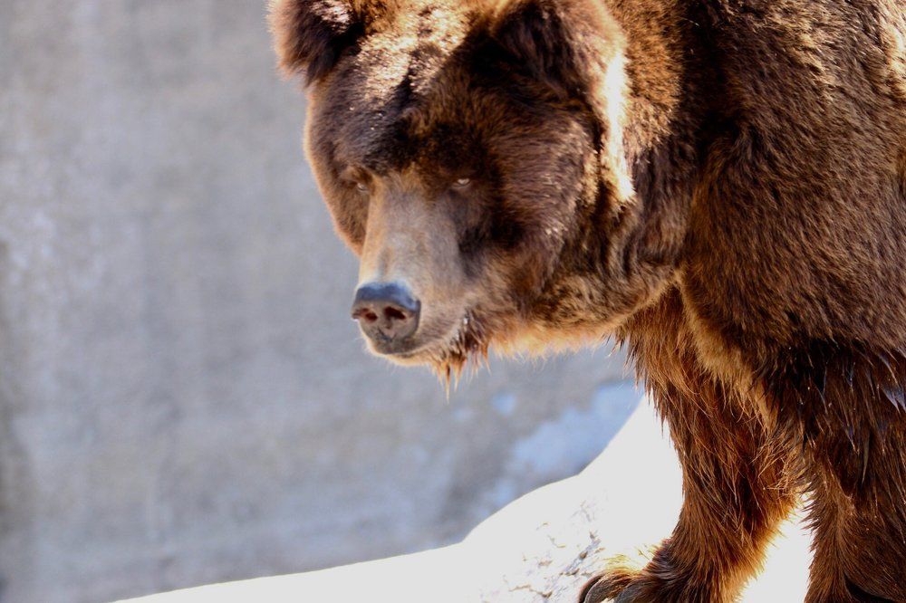 Photograph by abeesh sukumaran