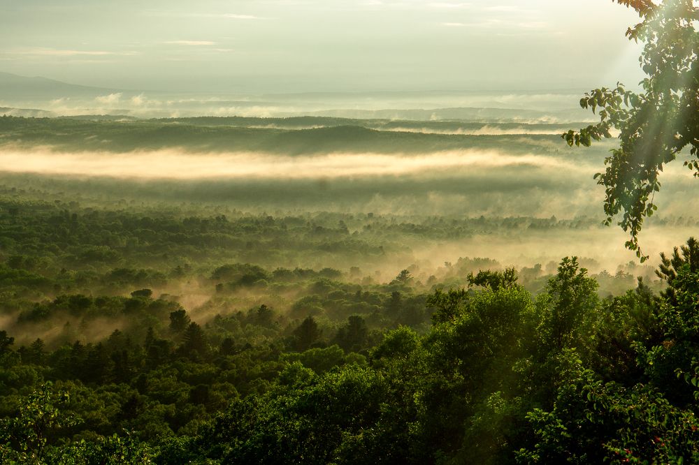 Хехцирский заповдник. Хабаровский крй