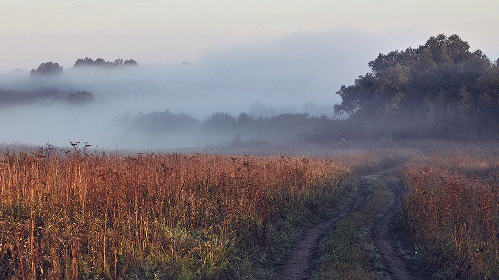 Счастливое утро