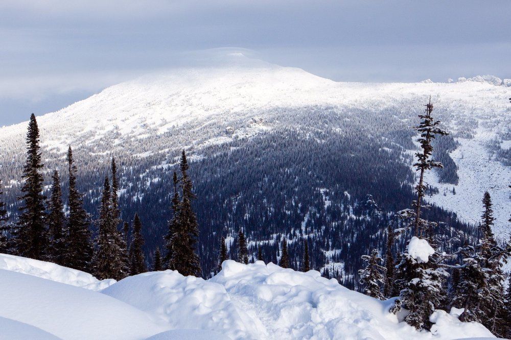 Photograph by Алексей