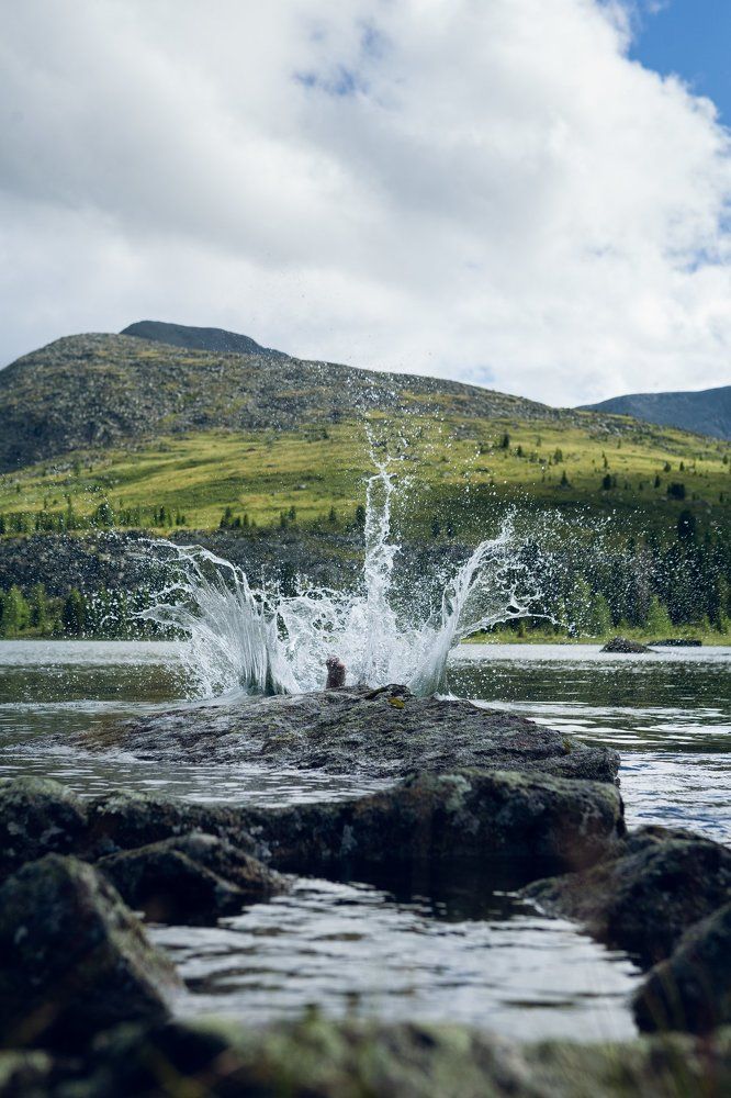 Photograph by Алексей