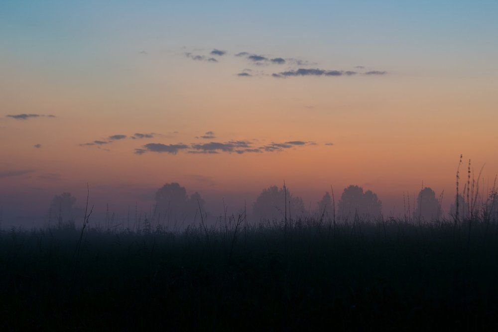 Ночные стражи