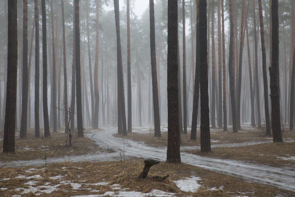 Весеннее утро.