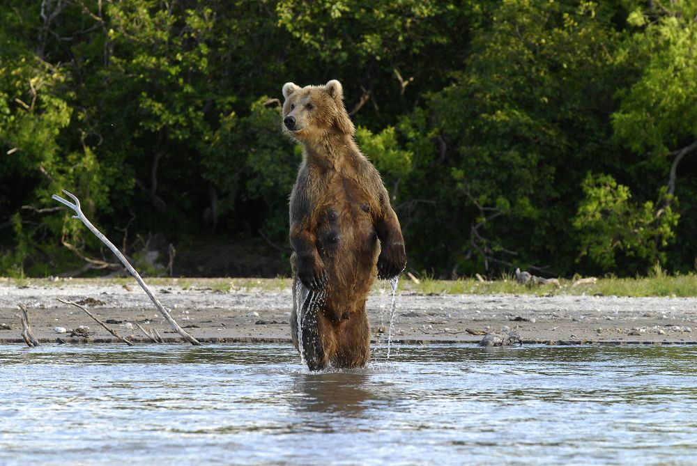 кто ,быстрее?