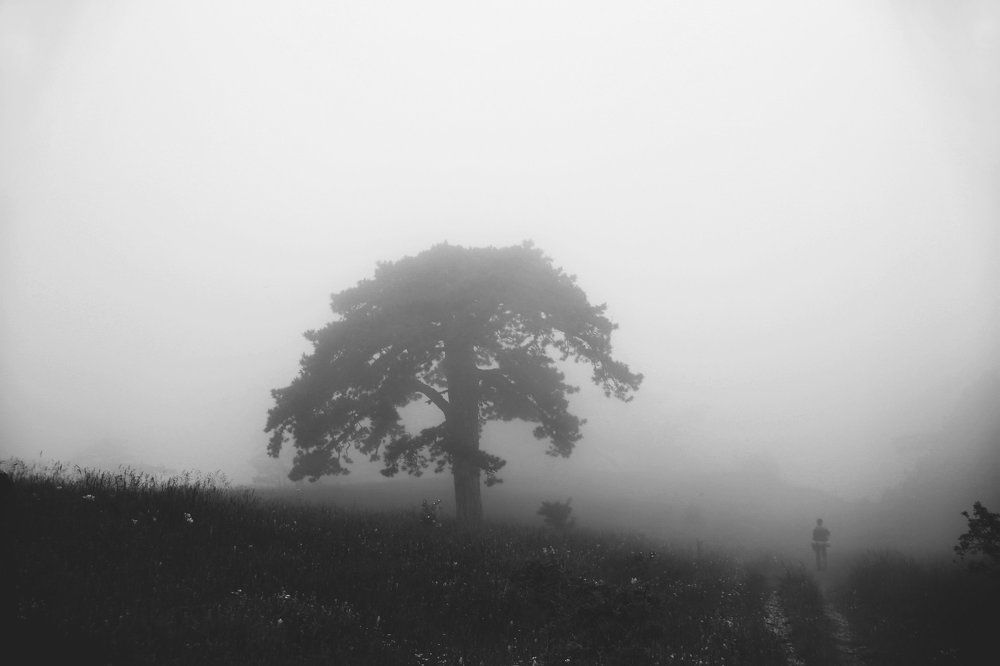 Одиночество или спокойствие