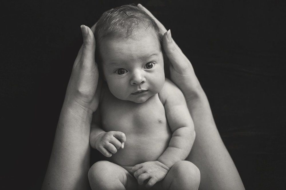 я все понимаю