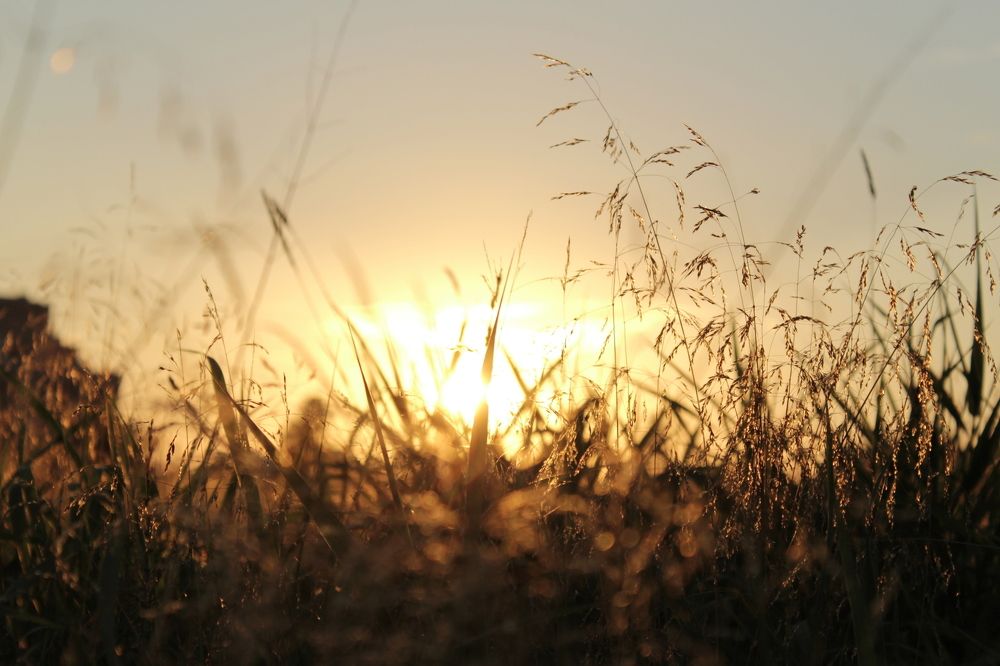 Вечер в городе
