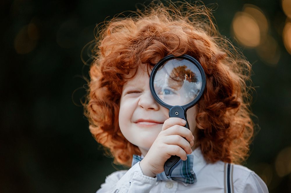 Маленький сыщик