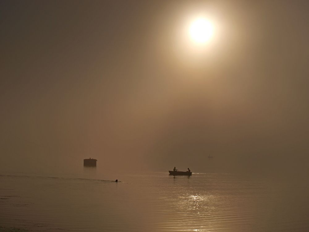 Туман на рассвете.