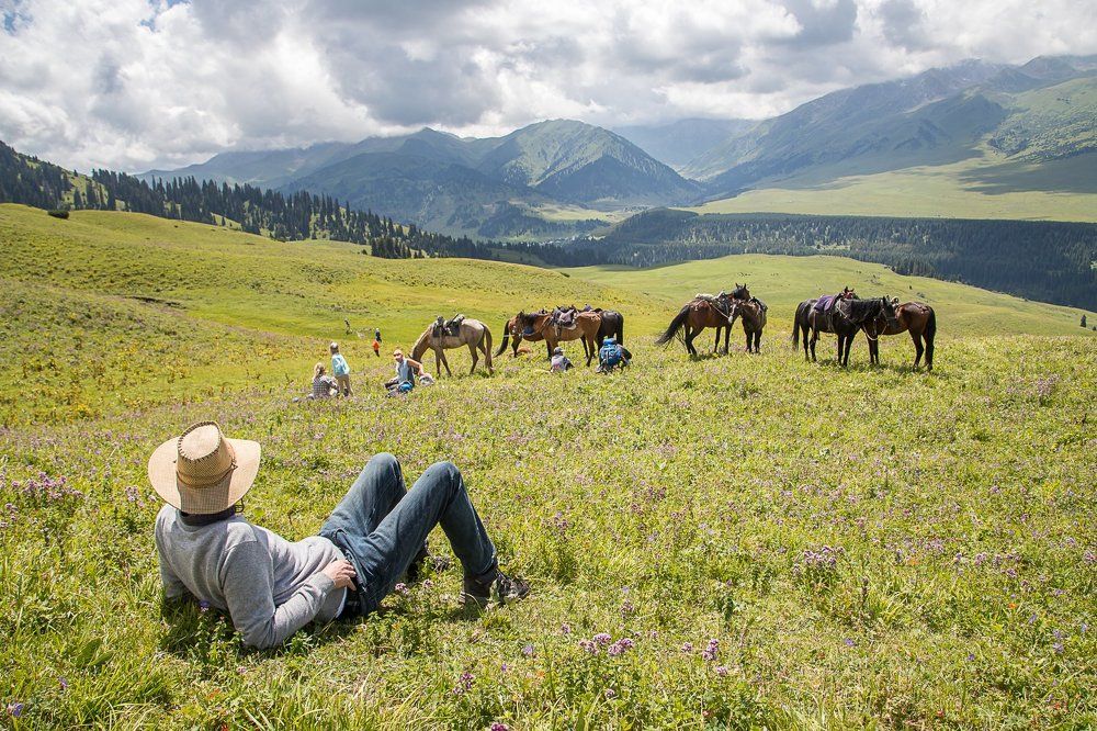 Наблюдая за природой