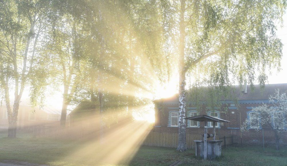 Доброе утро