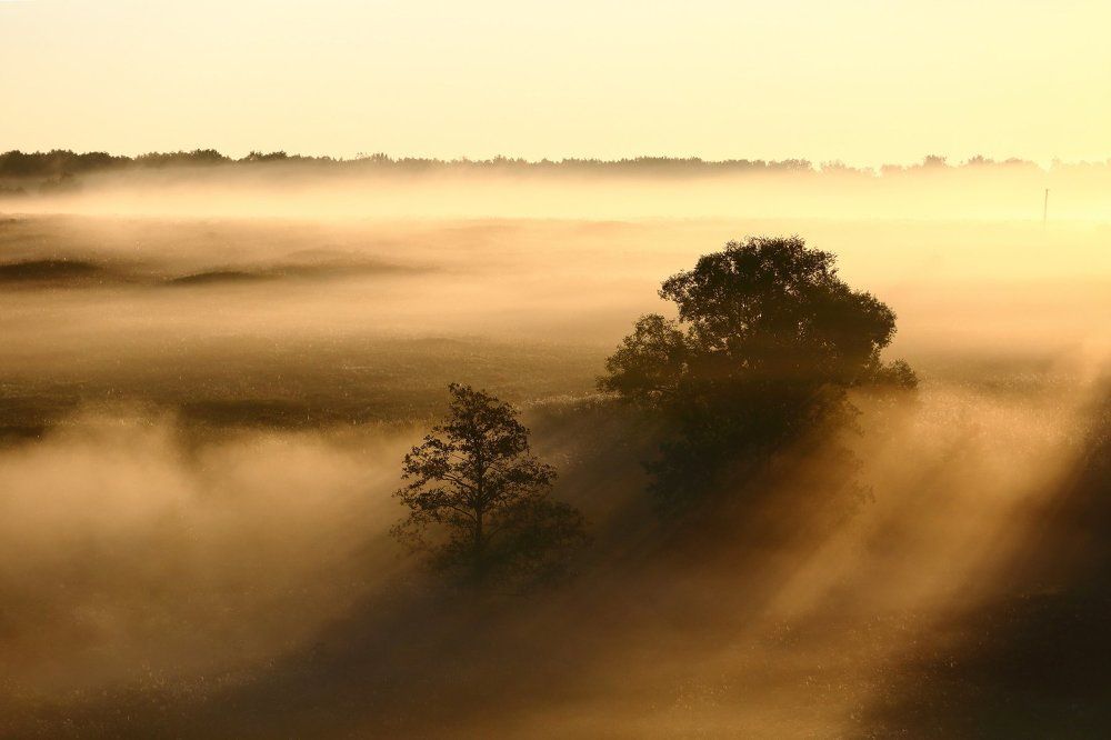 Photograph by Антон