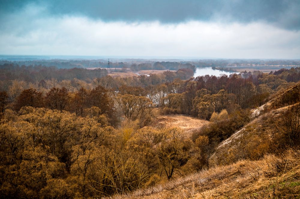 Пойма р. Десна