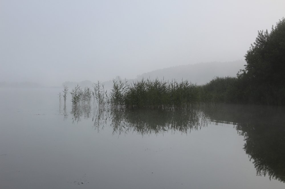 Утро на озере