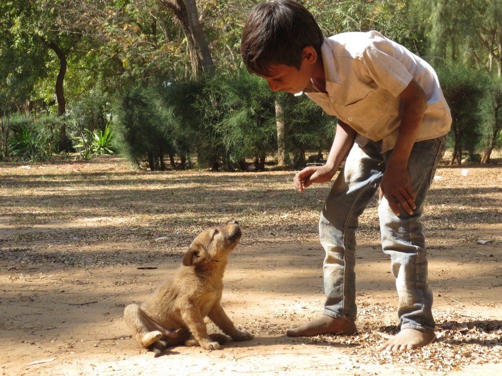 The puppy lovers kid