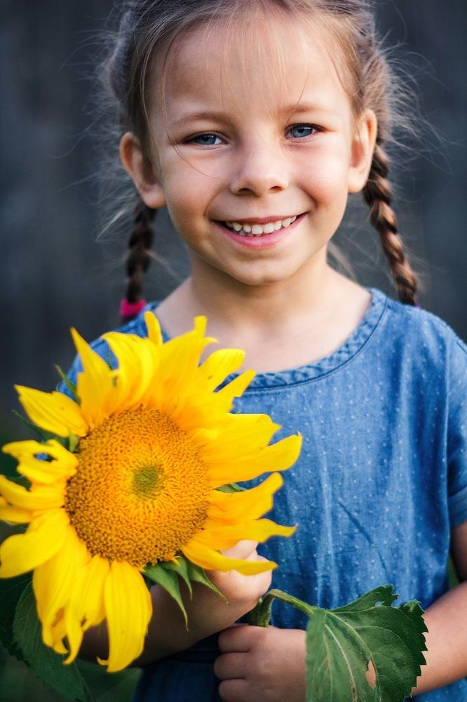 Подсолнухи и девочка