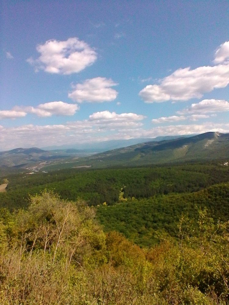 Photograph by Ольга