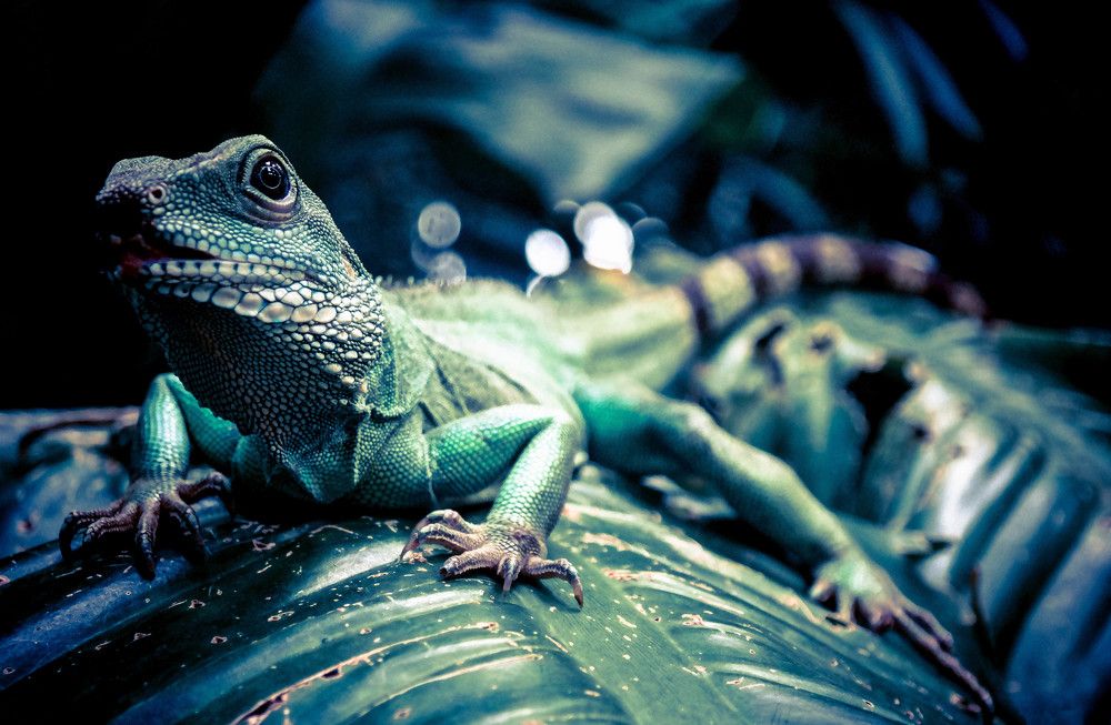 Photograph by Anna Mówińska