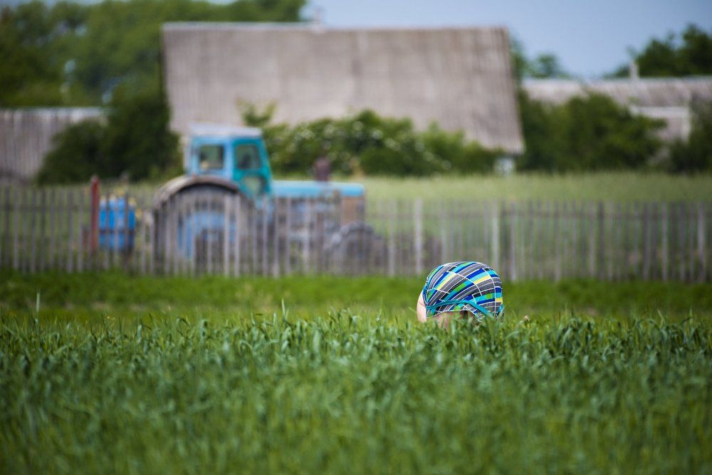 Сельские заботы