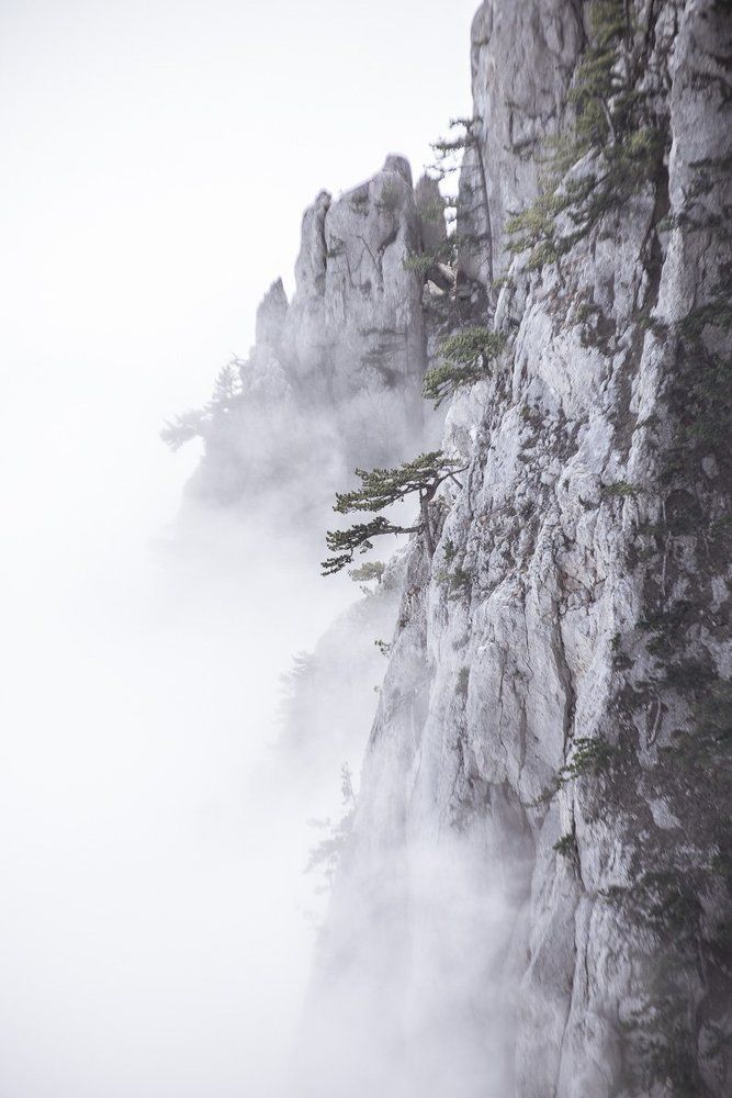 Photograph by Анна Снеткова