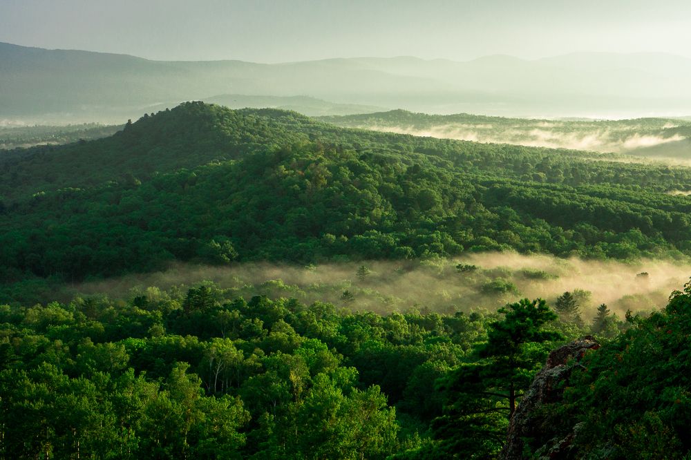 Диши полной грудью