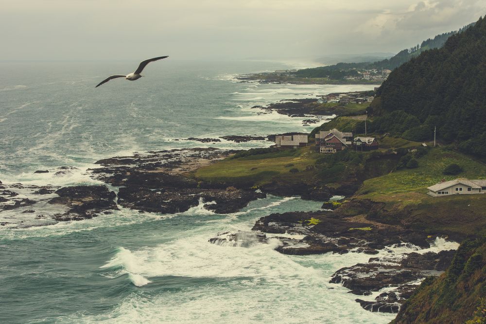 Там где летают птицы