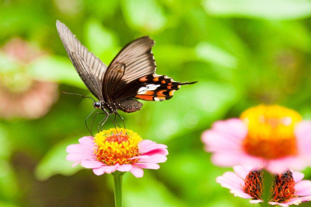 Приземление