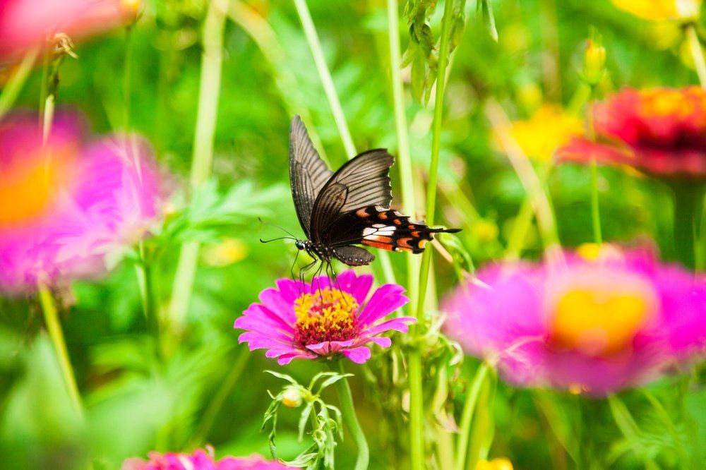 Photograph by Таланова Анна