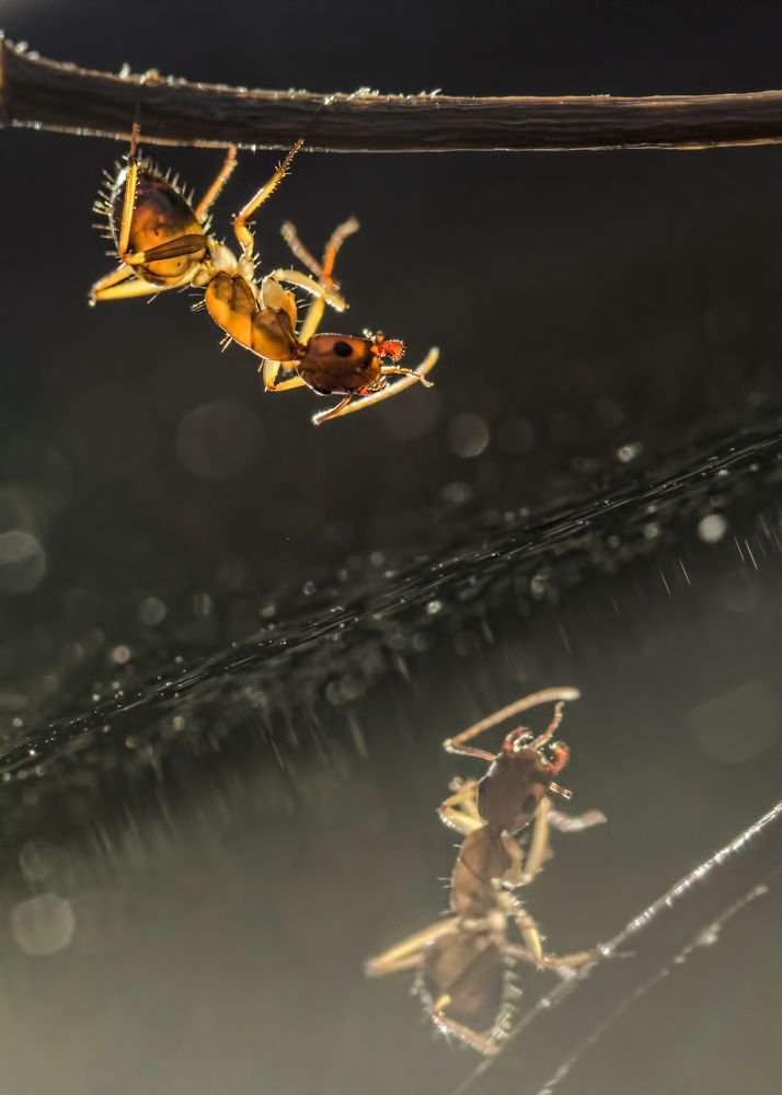 Photograph by Selma Kotancı