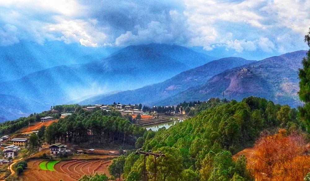 Valley of Green