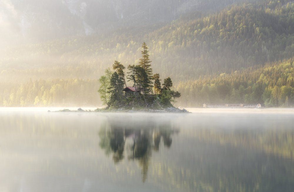 В утреннем тумане