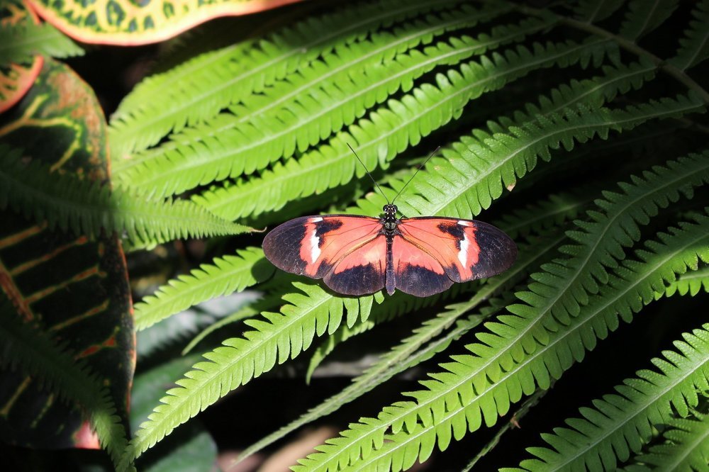 Photograph by Людмила Комарова